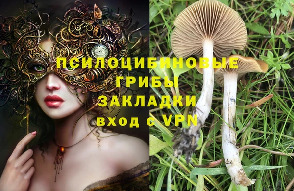 не бодяженный Богородск