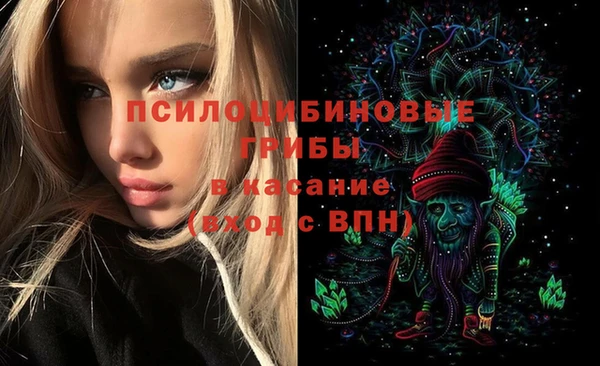 марки lsd Бугульма