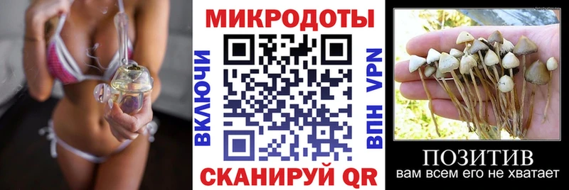 купить наркотик  Старый Оскол  Псилоцибиновые грибы GOLDEN TEACHER 